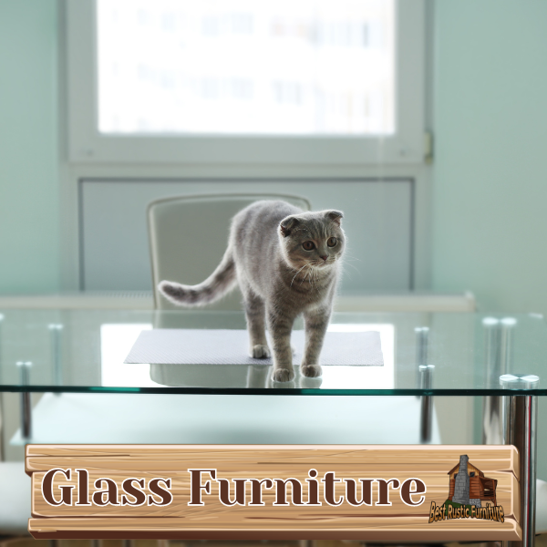 Glass Furniture
