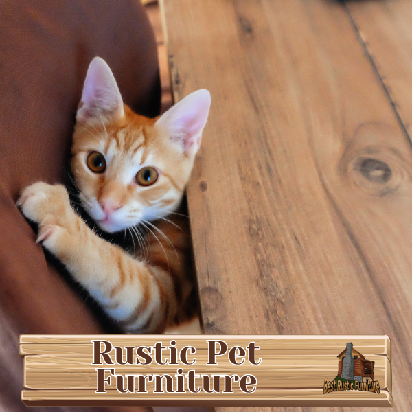 Rustic Pet Furniture